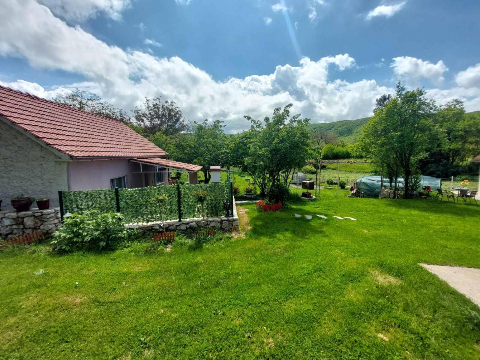 Village Flower Ivy Montenegro Niksic Exterior photo