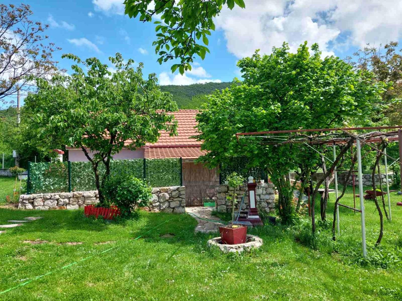 Village Flower Ivy Montenegro Niksic Exterior photo